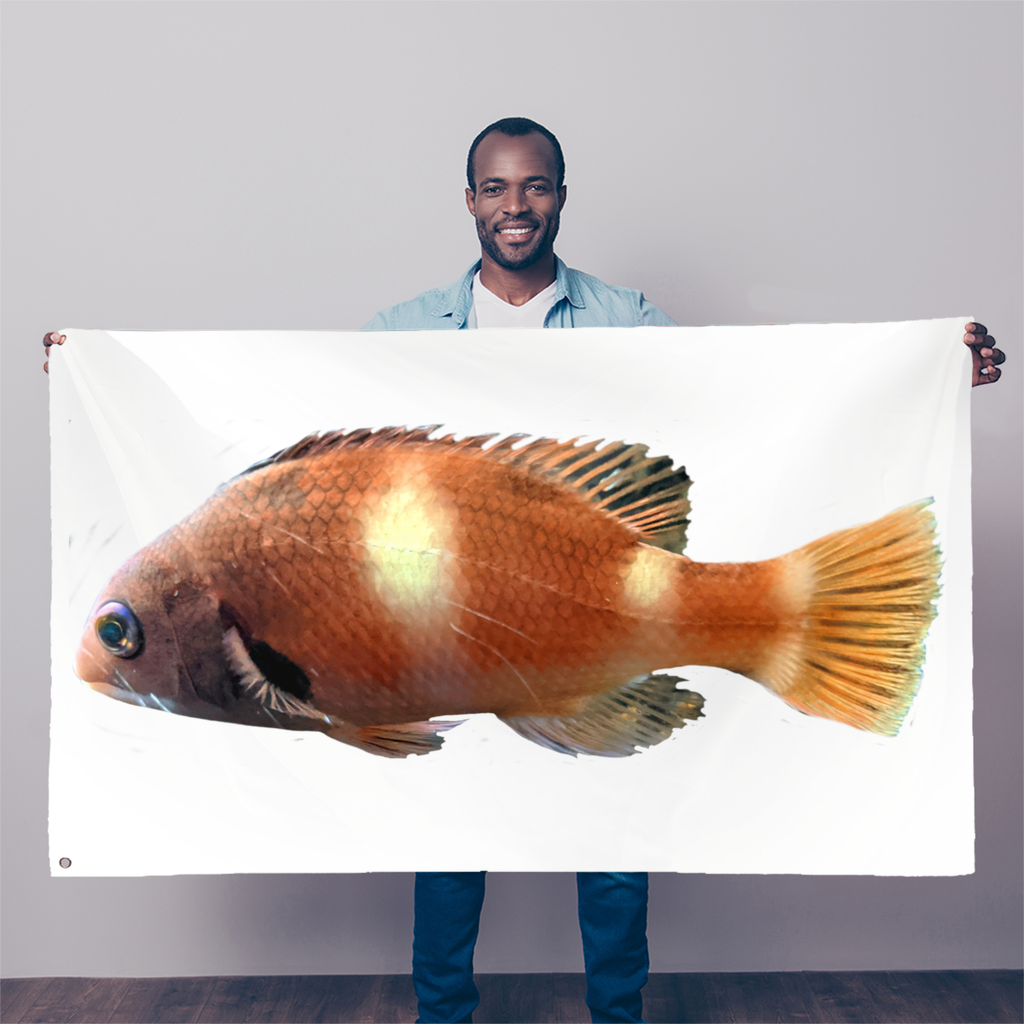 Vibrant Orange Fish Sublimation Flag displayed outdoors, showcasing its bright colors and durable fabric.