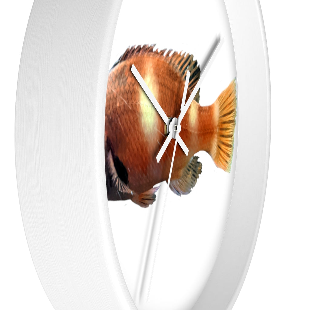 Vibrant orange fish wall clock with wooden frame and plexiglass face, perfect for indoor decor.