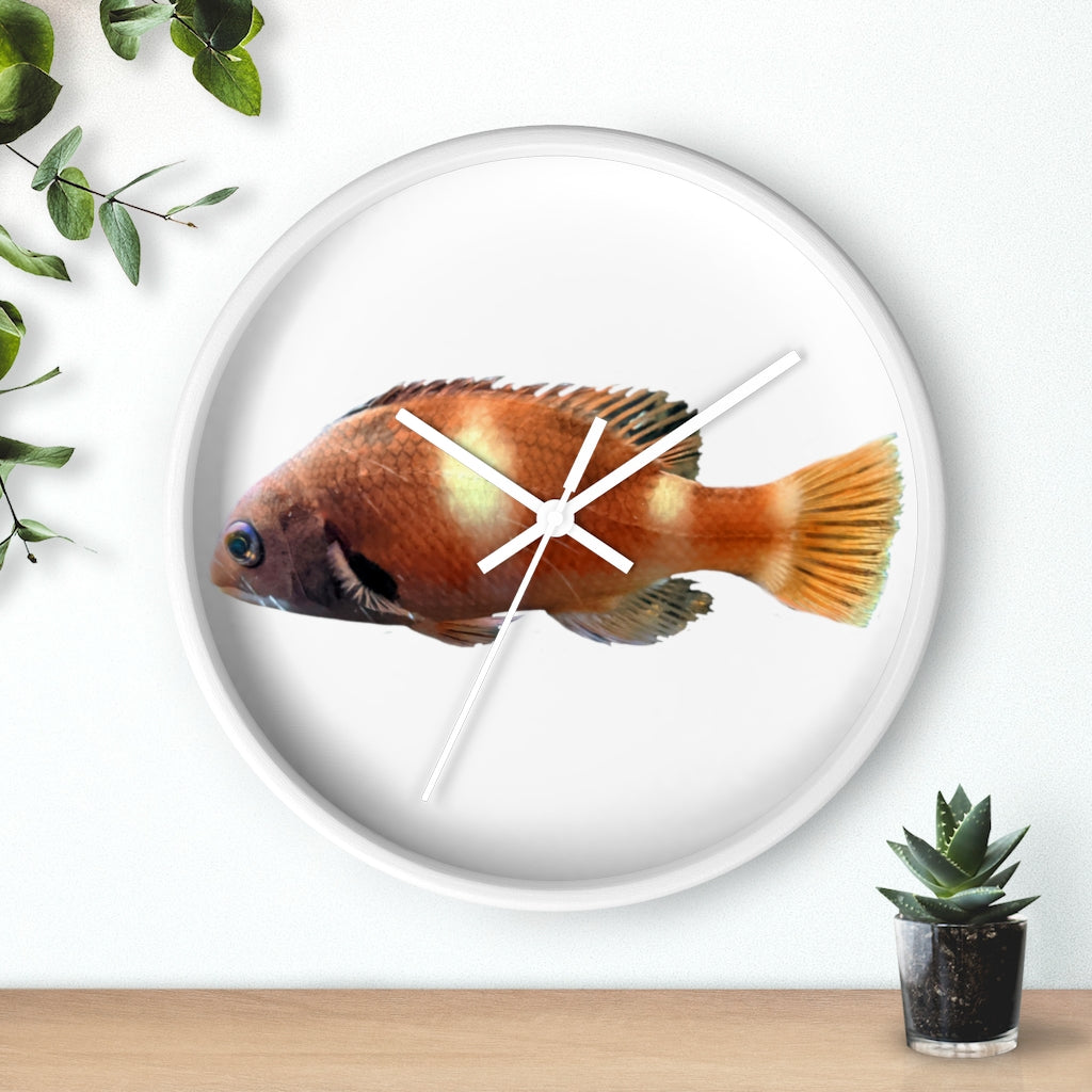 Vibrant orange fish wall clock with wooden frame and plexiglass face, perfect for indoor decor.