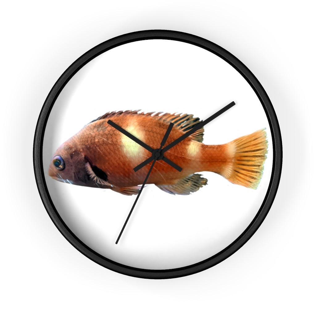 Vibrant orange fish wall clock with wooden frame and plexiglass face, perfect for indoor decor.