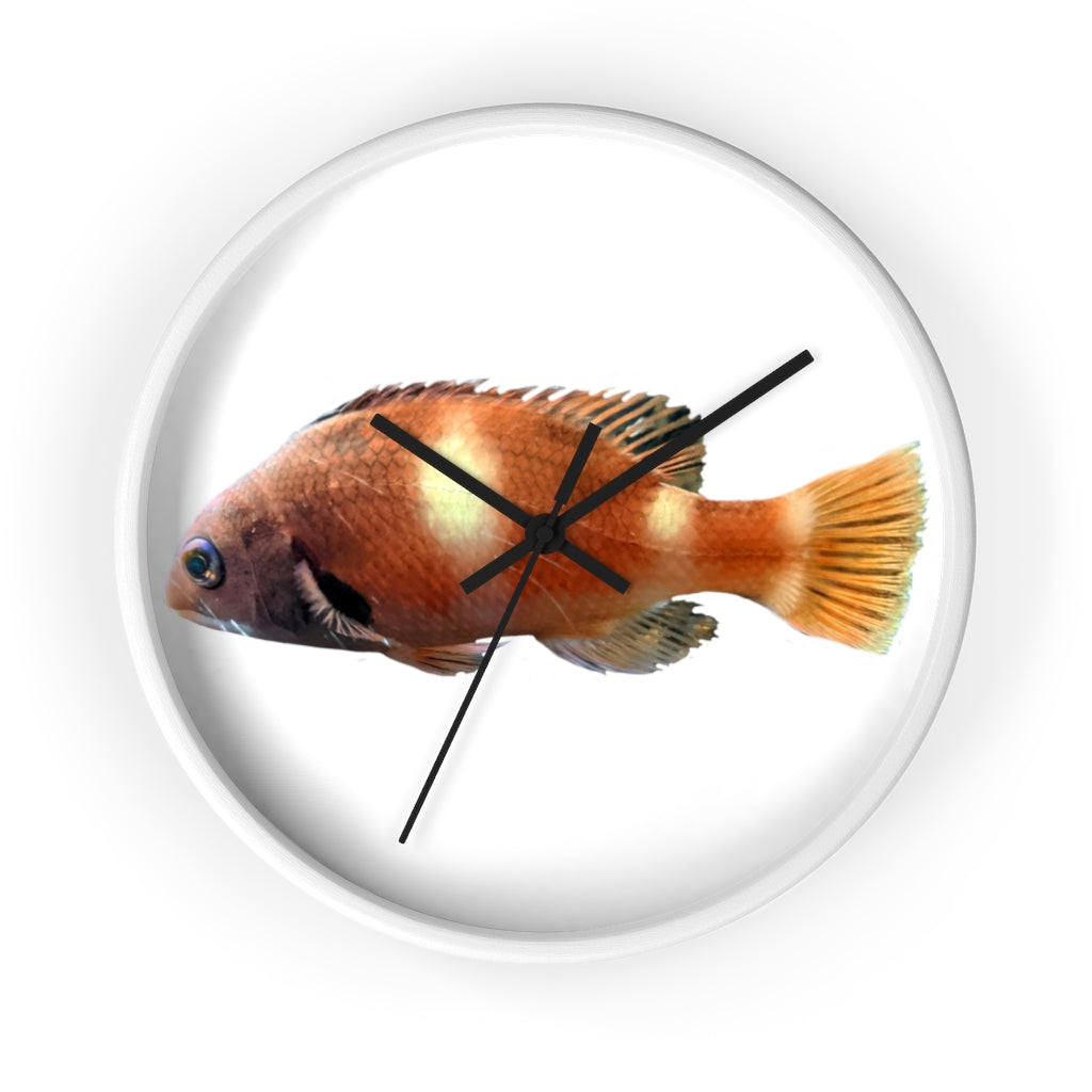 Vibrant orange fish wall clock with wooden frame and plexiglass face, perfect for indoor decor.