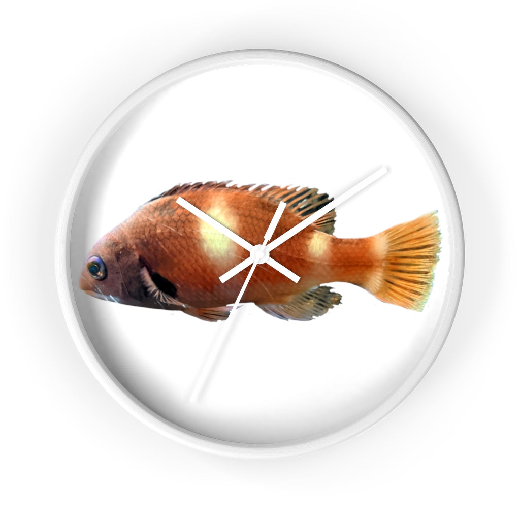 Vibrant orange fish wall clock with wooden frame and plexiglass face, perfect for indoor decor.