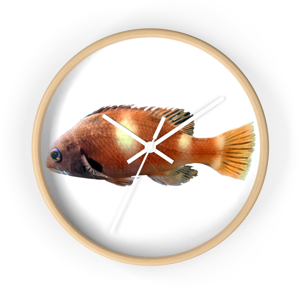 Vibrant orange fish wall clock with wooden frame and plexiglass face, perfect for indoor decor.