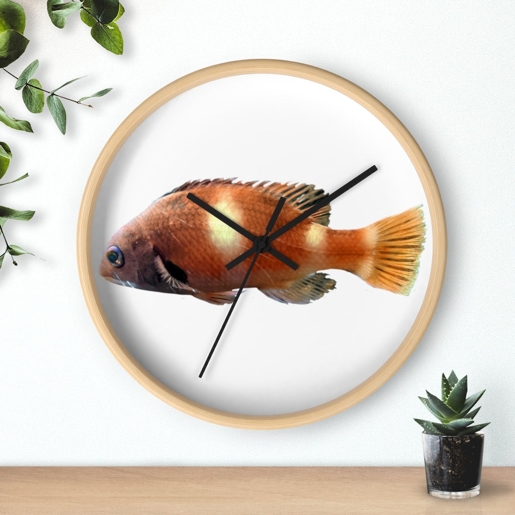 Vibrant orange fish wall clock with wooden frame and plexiglass face, perfect for indoor decor.