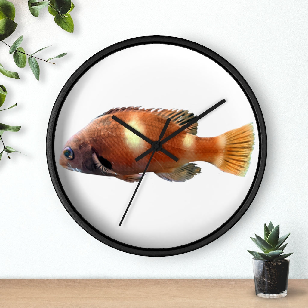 Vibrant orange fish wall clock with wooden frame and plexiglass face, perfect for indoor decor.