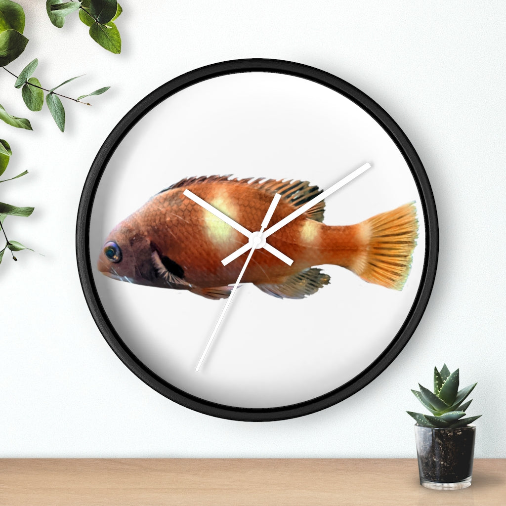 Vibrant orange fish wall clock with wooden frame and plexiglass face, perfect for indoor decor.