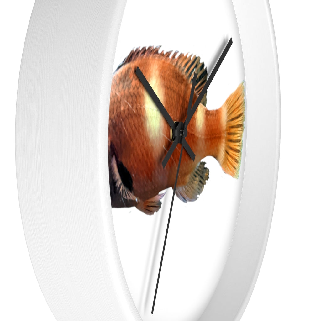 Vibrant orange fish wall clock with wooden frame and plexiglass face, perfect for indoor decor.