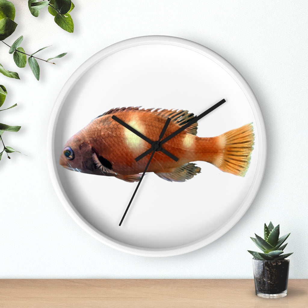 Vibrant orange fish wall clock with wooden frame and plexiglass face, perfect for indoor decor.