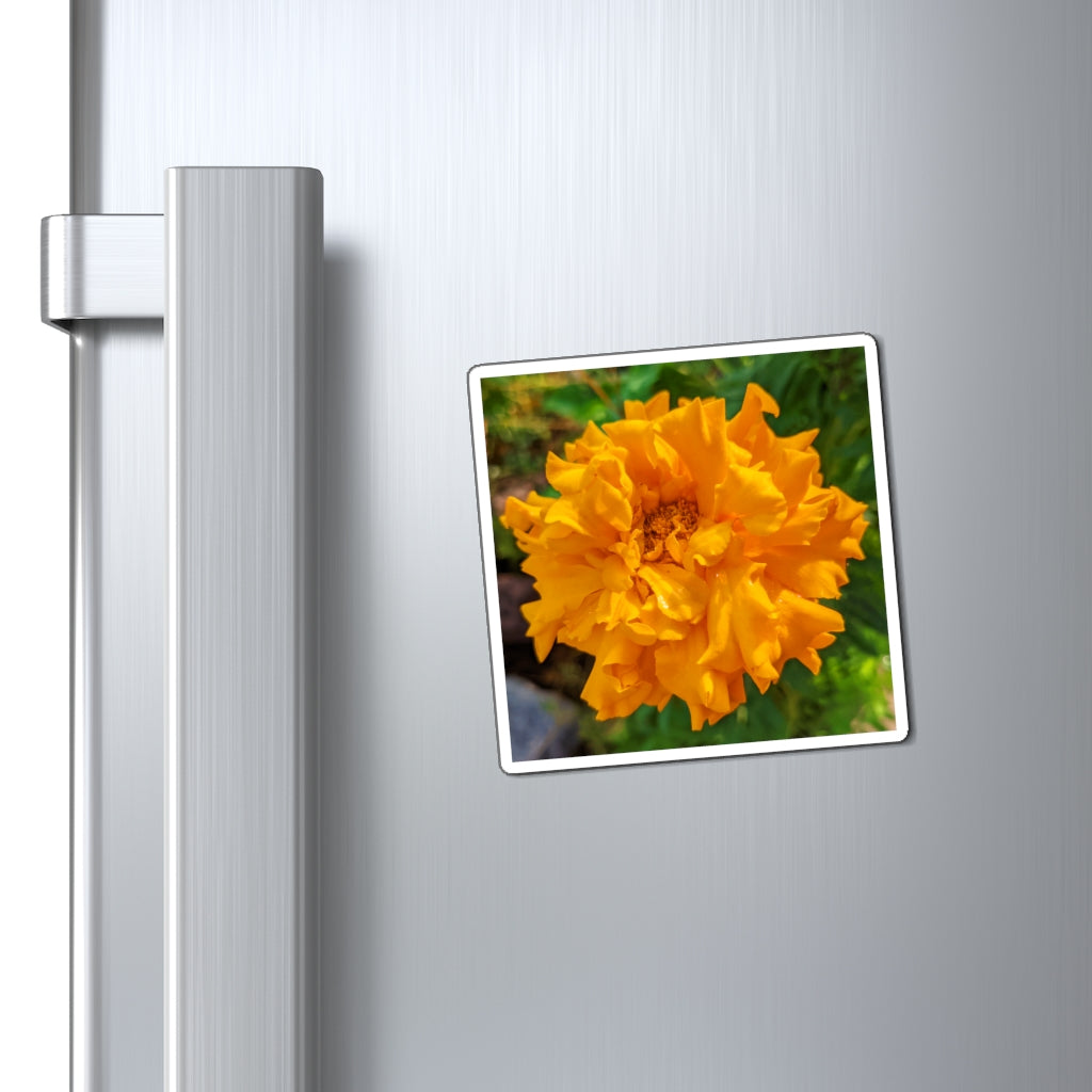 Vibrant orange flower magnets with black backing, perfect for displaying messages on metallic surfaces.