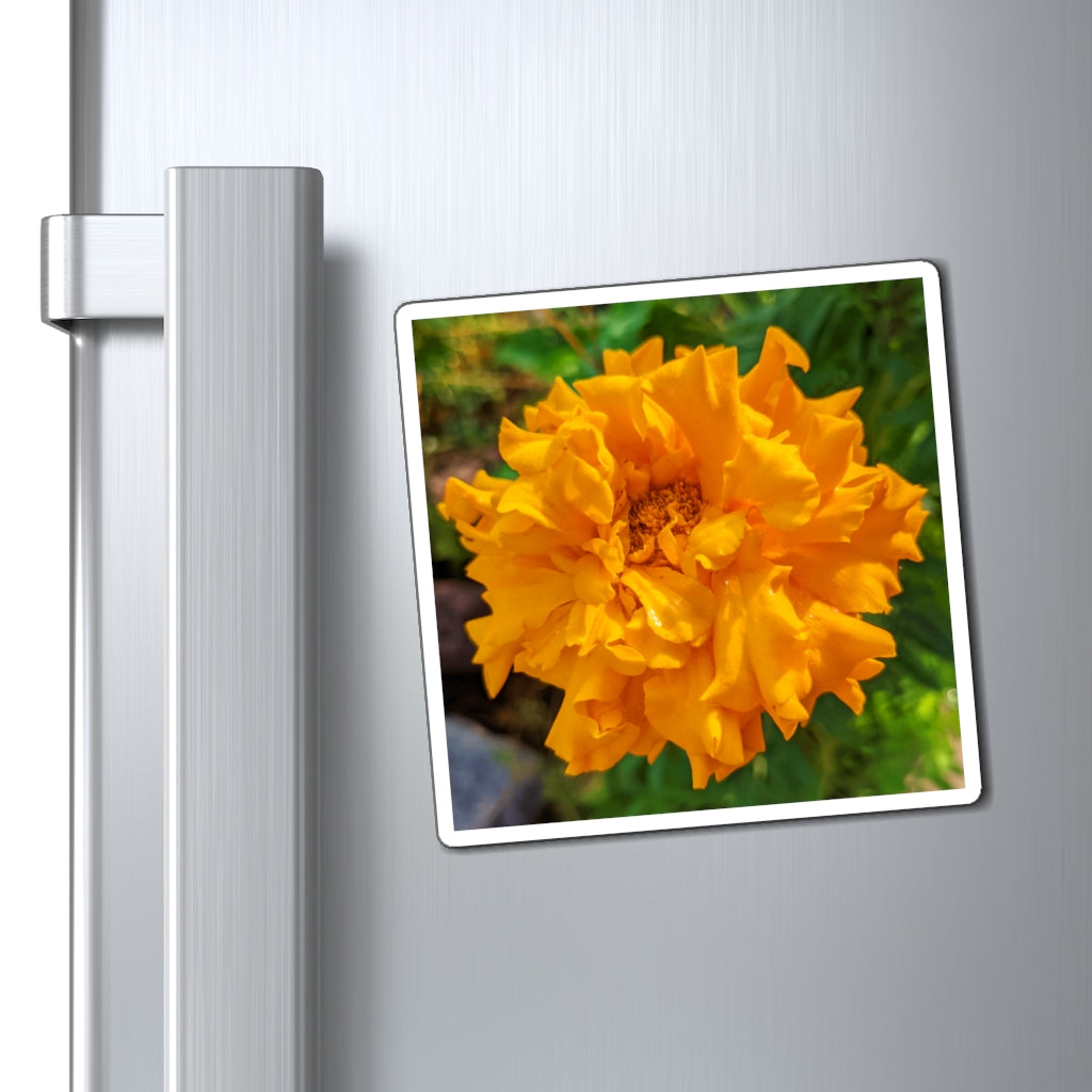 Vibrant orange flower magnets with black backing, perfect for displaying messages on metallic surfaces.