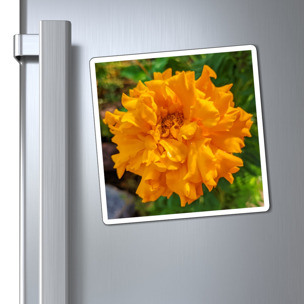 Vibrant orange flower magnets with black backing, perfect for displaying messages on metallic surfaces.