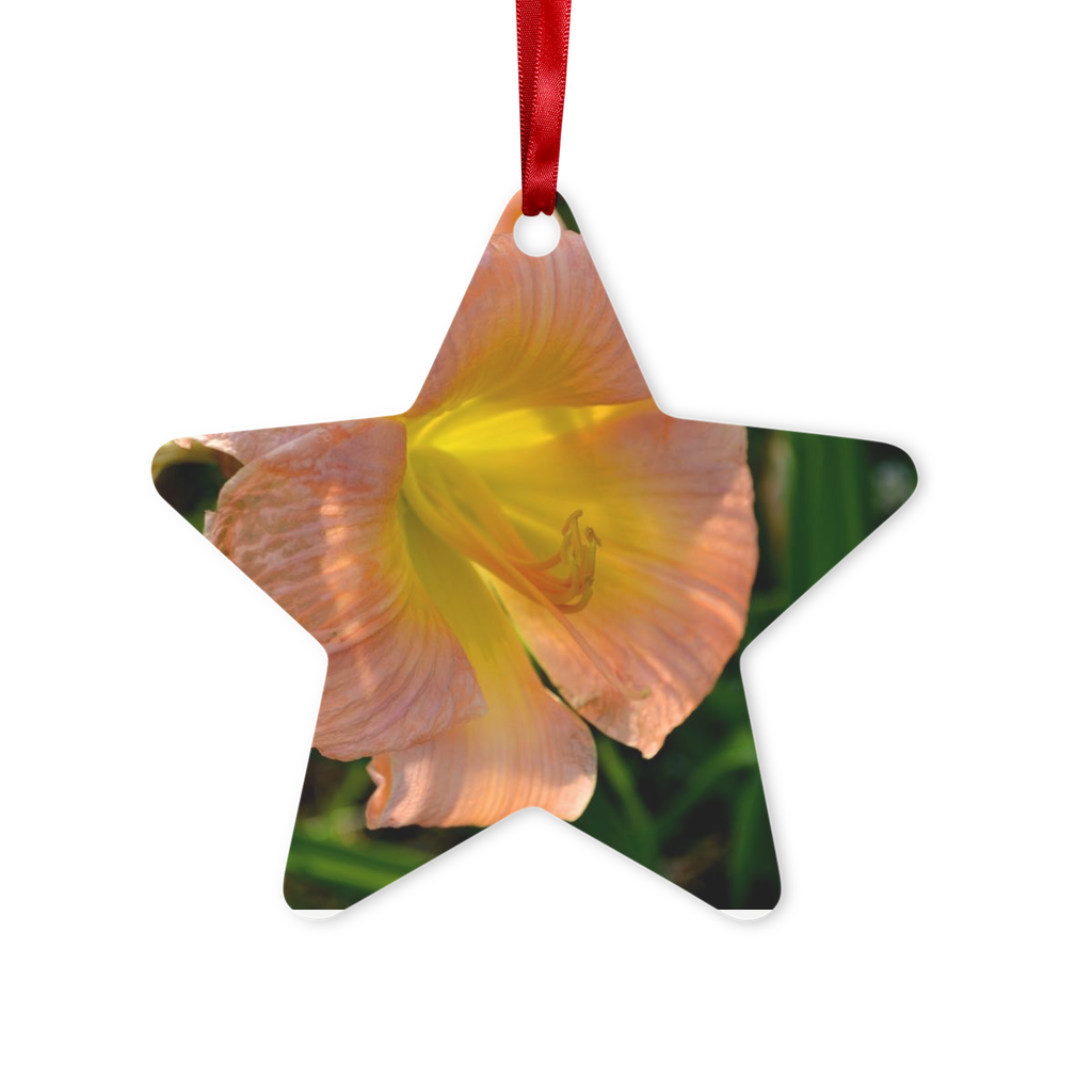 Orange Flower Metal Hanging Ornament in hexagon and star shapes, featuring a glossy white finish and red ribbon for hanging.