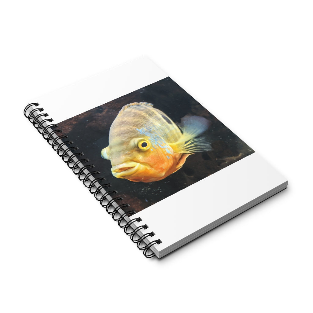 Orange Grey Fish Spiral Journal featuring a vibrant cover design with a fish motif and spiral binding.