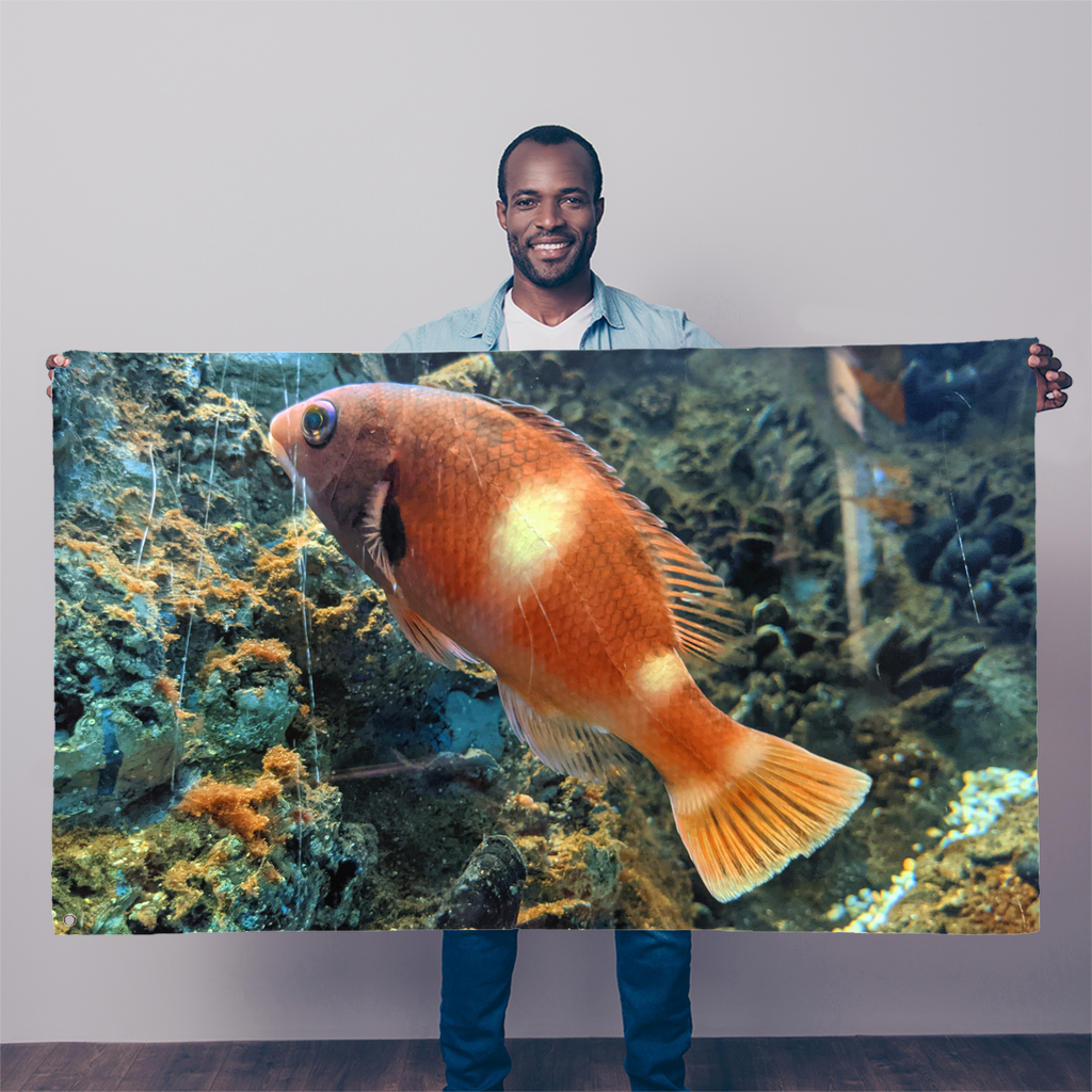 OrangeFishScene Sublimation Flag displayed outdoors, showcasing vibrant colors and double-stitched edges.