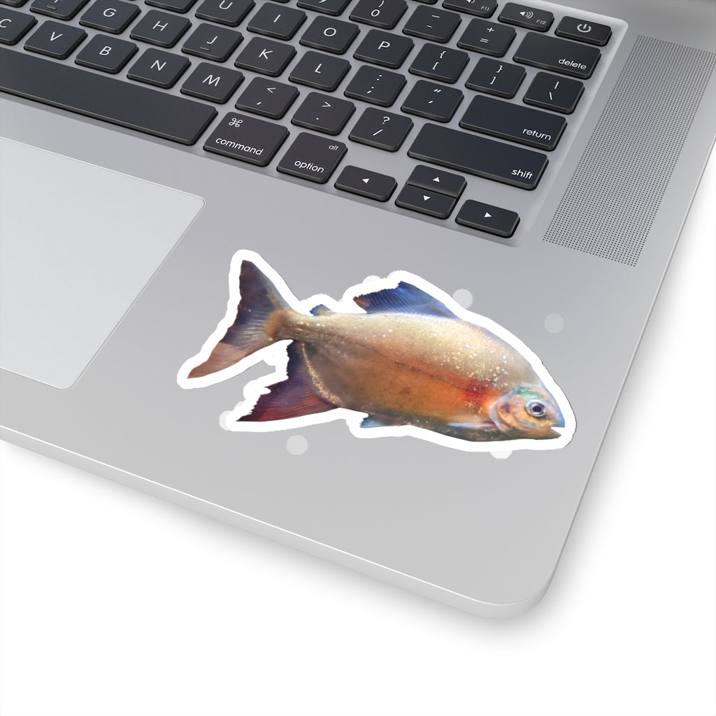 A collection of Peach Fish Kiss-Cut Stickers showcasing various shapes and sizes, designed for creative projects.