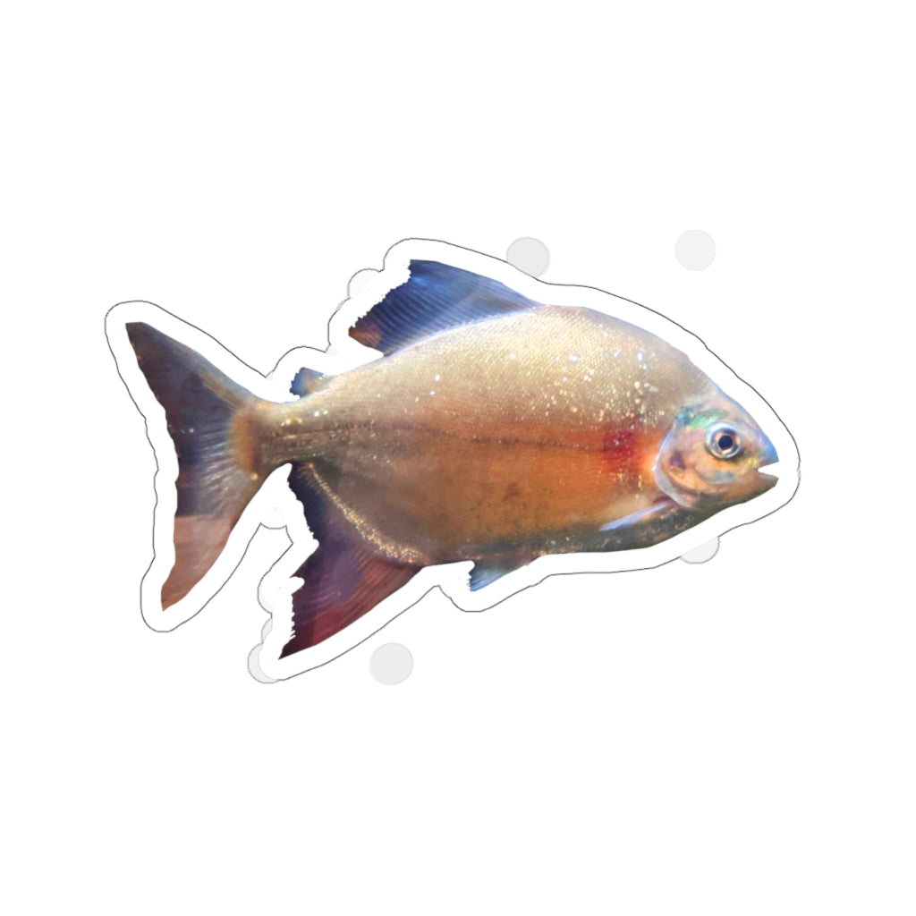 A collection of Peach Fish Kiss-Cut Stickers showcasing various shapes and sizes, designed for creative projects.