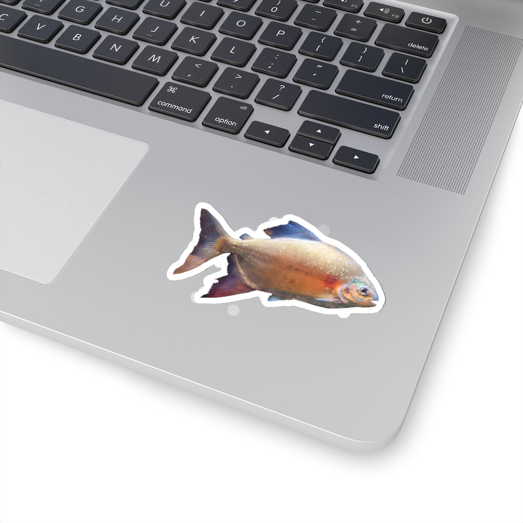 A collection of Peach Fish Kiss-Cut Stickers showcasing various shapes and sizes, designed for creative projects.