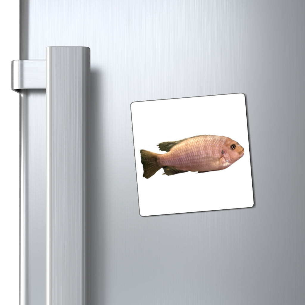 A set of Peach Fish Magnets showcasing vibrant colors and a sleek black backing, ideal for displaying messages on metallic surfaces.