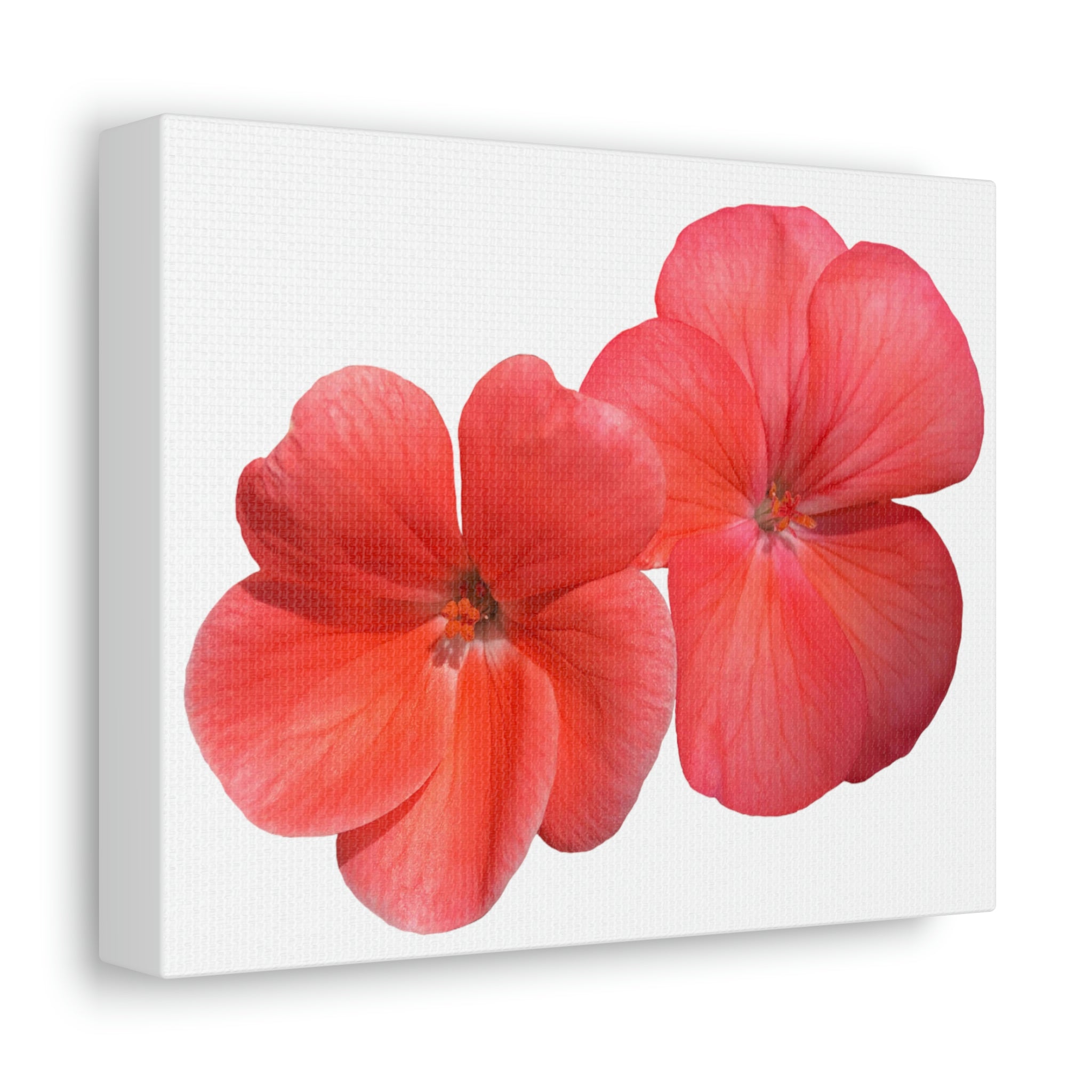 A vibrant peach red flower printed on a stretched canvas, showcasing high-quality detail and color.