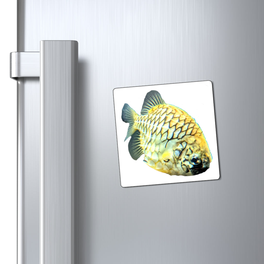 Colorful Pineapple Fish Magnets with vibrant designs, perfect for displaying messages on metallic surfaces.