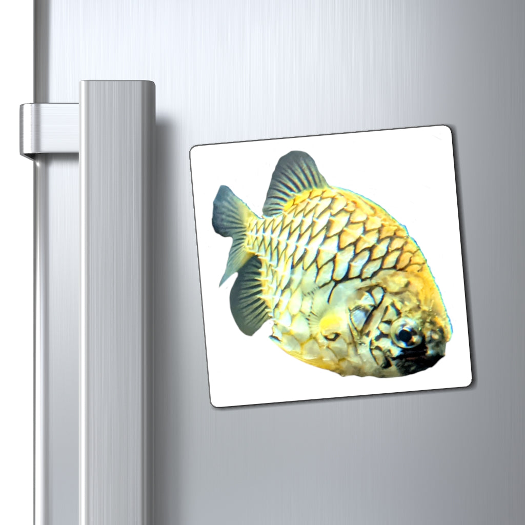 Colorful Pineapple Fish Magnets with vibrant designs, perfect for displaying messages on metallic surfaces.