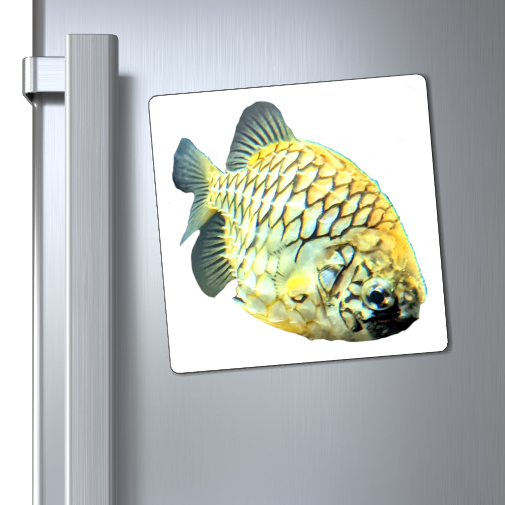 Colorful Pineapple Fish Magnets with vibrant designs, perfect for displaying messages on metallic surfaces.