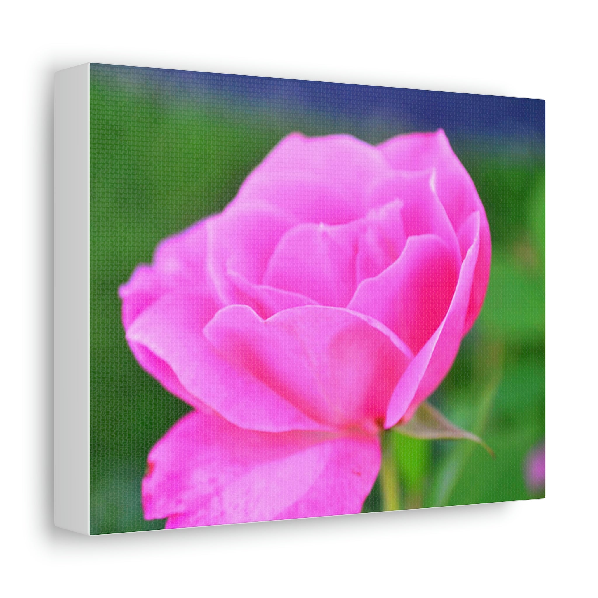 A vibrant pink flower stretched canvas art piece, elegantly framed and ready for indoor display.