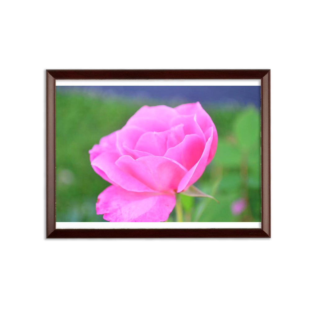 PinkFlower Sublimation Wall Plaque with brown wooden frame and white printable surface, showcasing its elegant ogee shaped edge.