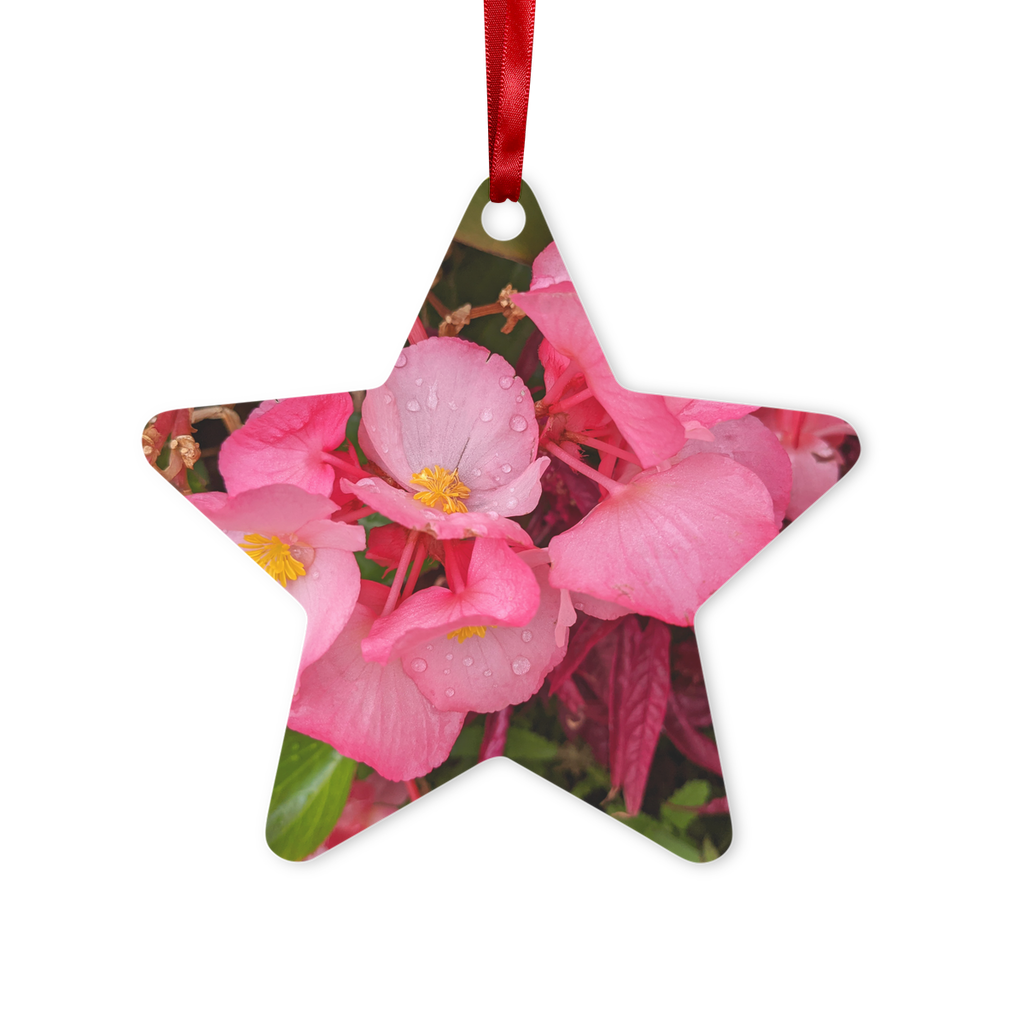 PinkFlowers Metal Hanging Ornament in hexagon and star shapes, featuring a red ribbon and gold string, elegantly displayed in a white box.