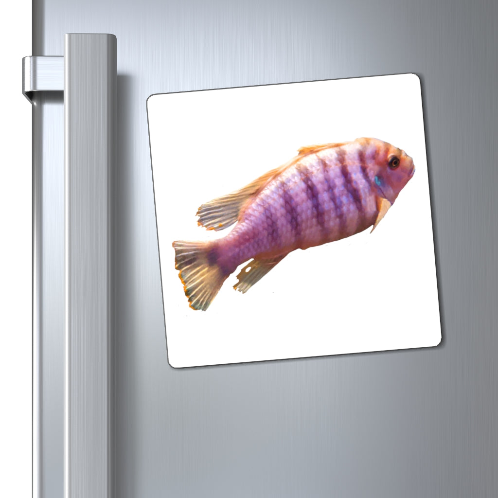 A set of vibrant purple fish magnets displayed on a metallic surface, showcasing their strong hold and colorful design.