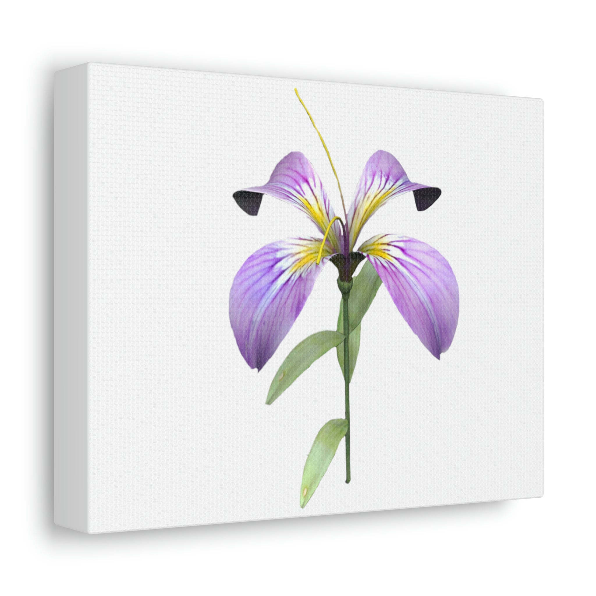 A vibrant purple flower stretched canvas art piece, elegantly displayed on a wall, showcasing its intricate details and rich colors.