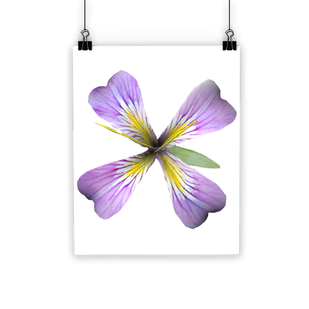 PurpleFlower3 Classic Poster featuring vibrant purple flowers on a semi-gloss paper, showcasing its photographic quality and durability.