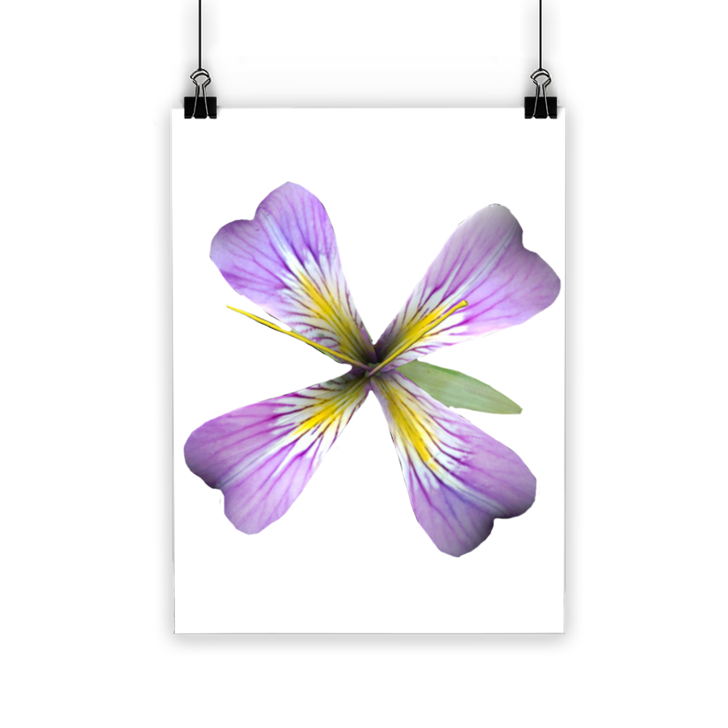 PurpleFlower3 Classic Poster featuring vibrant purple flowers on a semi-gloss paper, showcasing its photographic quality and durability.