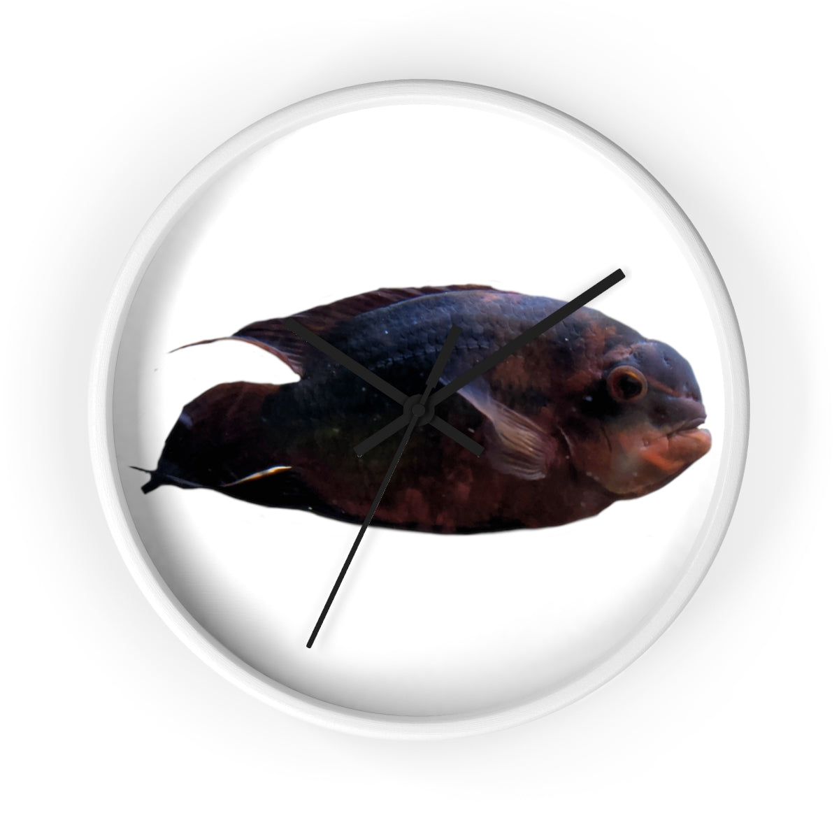 A stylish Red Black Fish Wall Clock featuring a wooden frame and a plexiglass face, perfect for indoor decor.