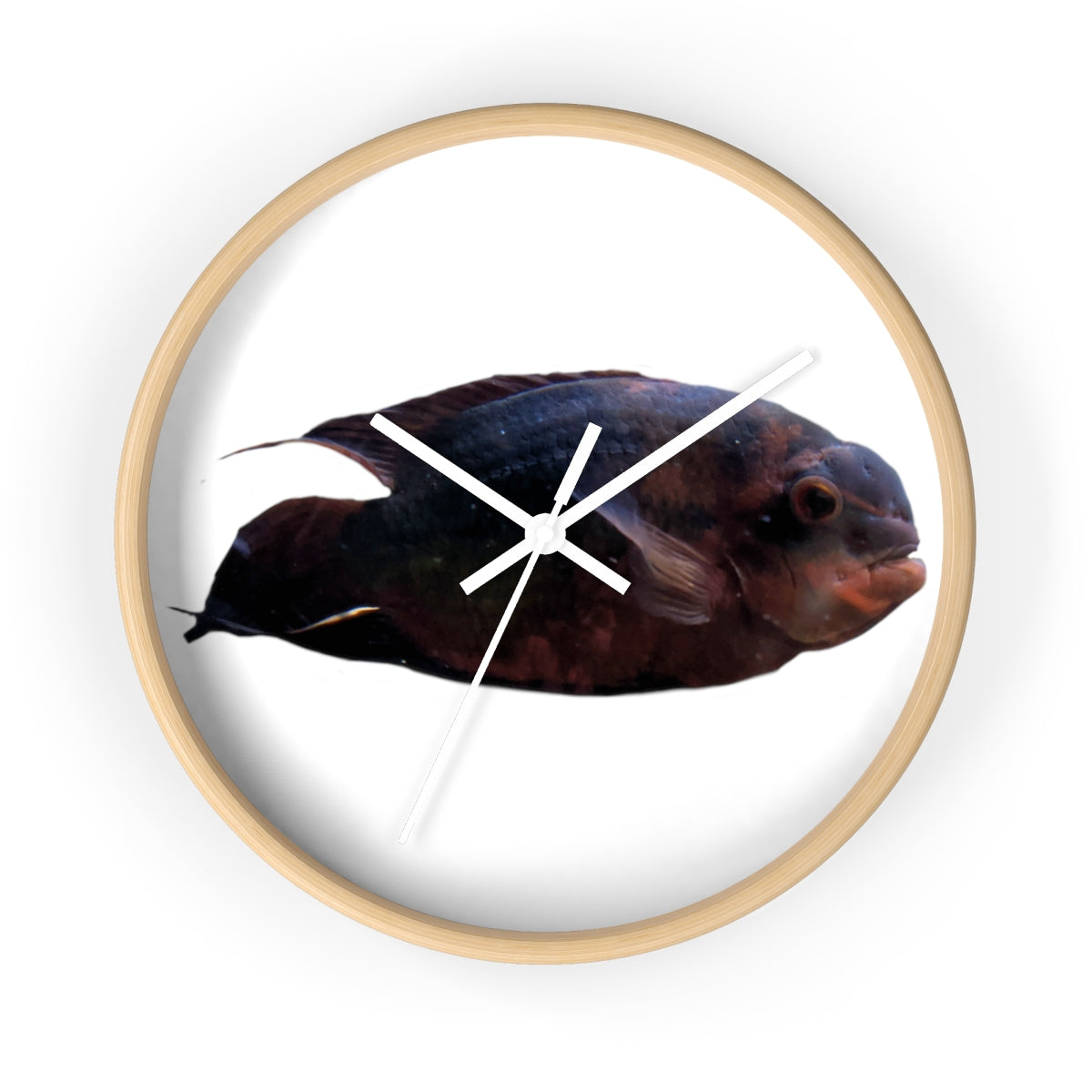 A stylish Red Black Fish Wall Clock featuring a wooden frame and a plexiglass face, perfect for indoor decor.