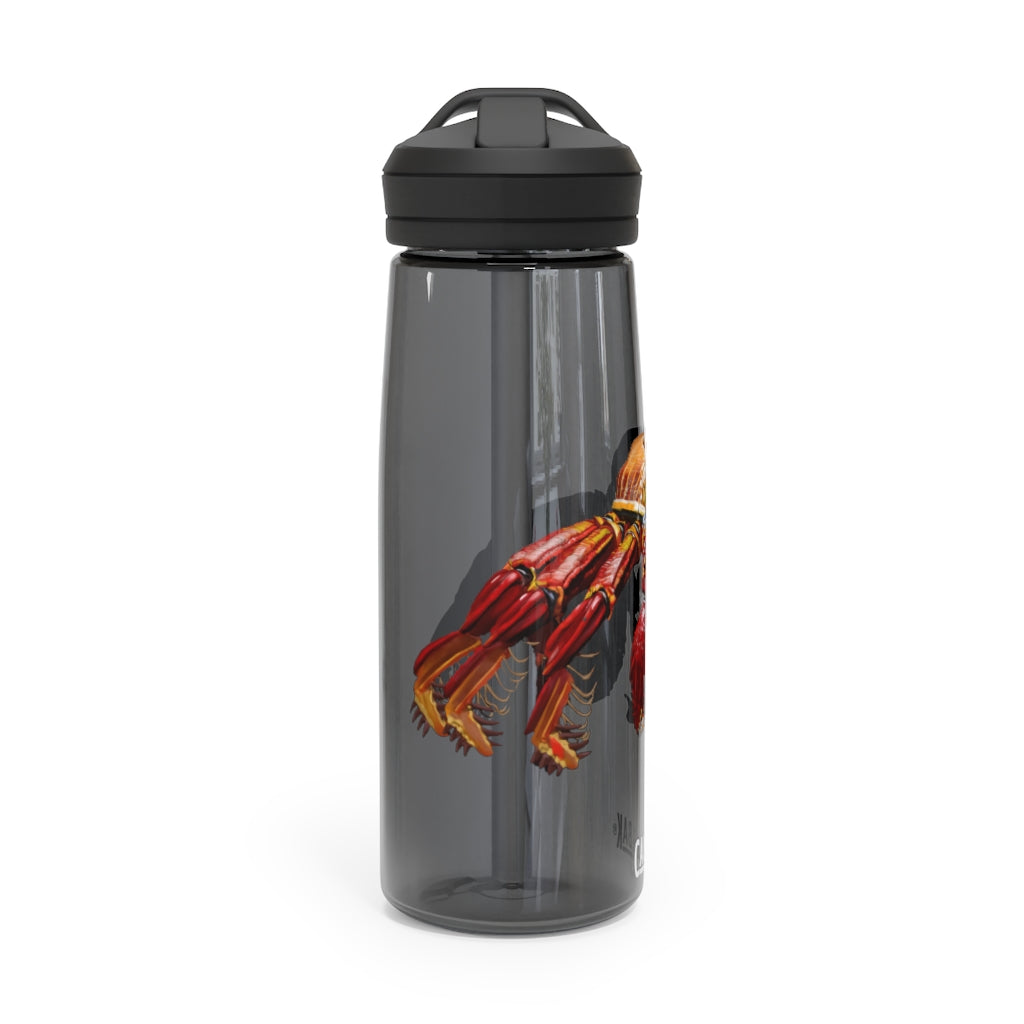 Red Crab CamelBak Eddy® Water Bottle in vibrant red color, showcasing its ergonomic design and spill-proof biting valve.