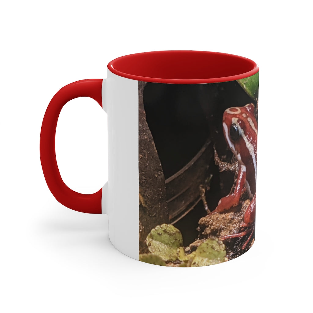 Red Frog Accent Coffee Mug with a white exterior and colorful interior and handle, showcasing a comfortable C-handle design.