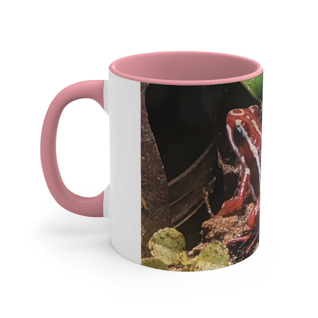 Red Frog Accent Coffee Mug with a white exterior and colorful interior and handle, showcasing a comfortable C-handle design.