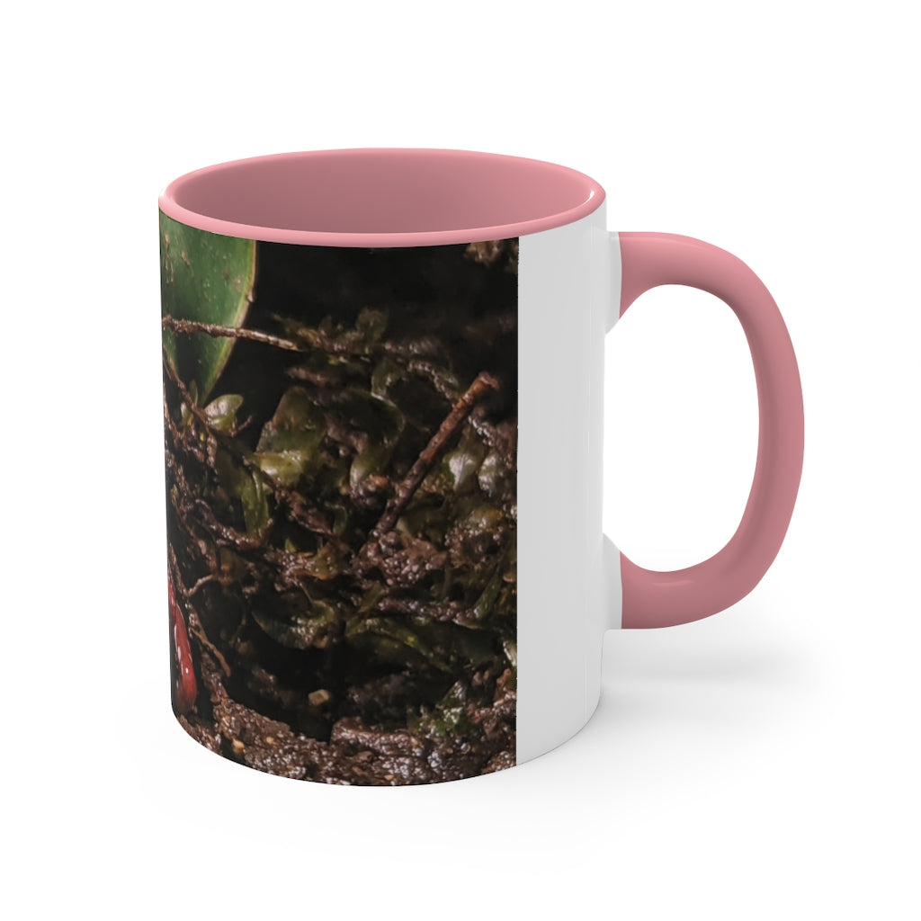 Red Frog Accent Coffee Mug with a white exterior and colorful interior and handle, showcasing a comfortable C-handle design.