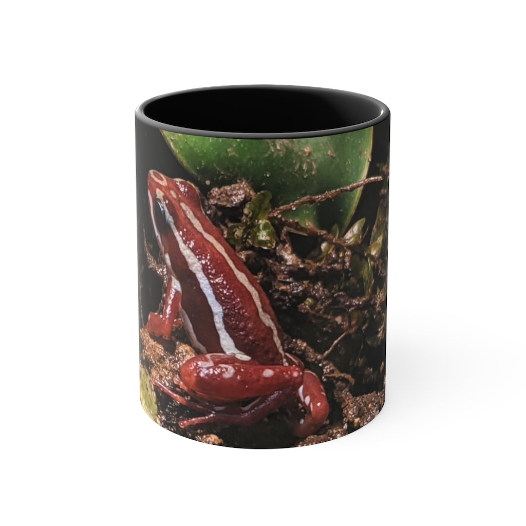 Red Frog Accent Coffee Mug with a white exterior and colorful interior and handle, showcasing a comfortable C-handle design.