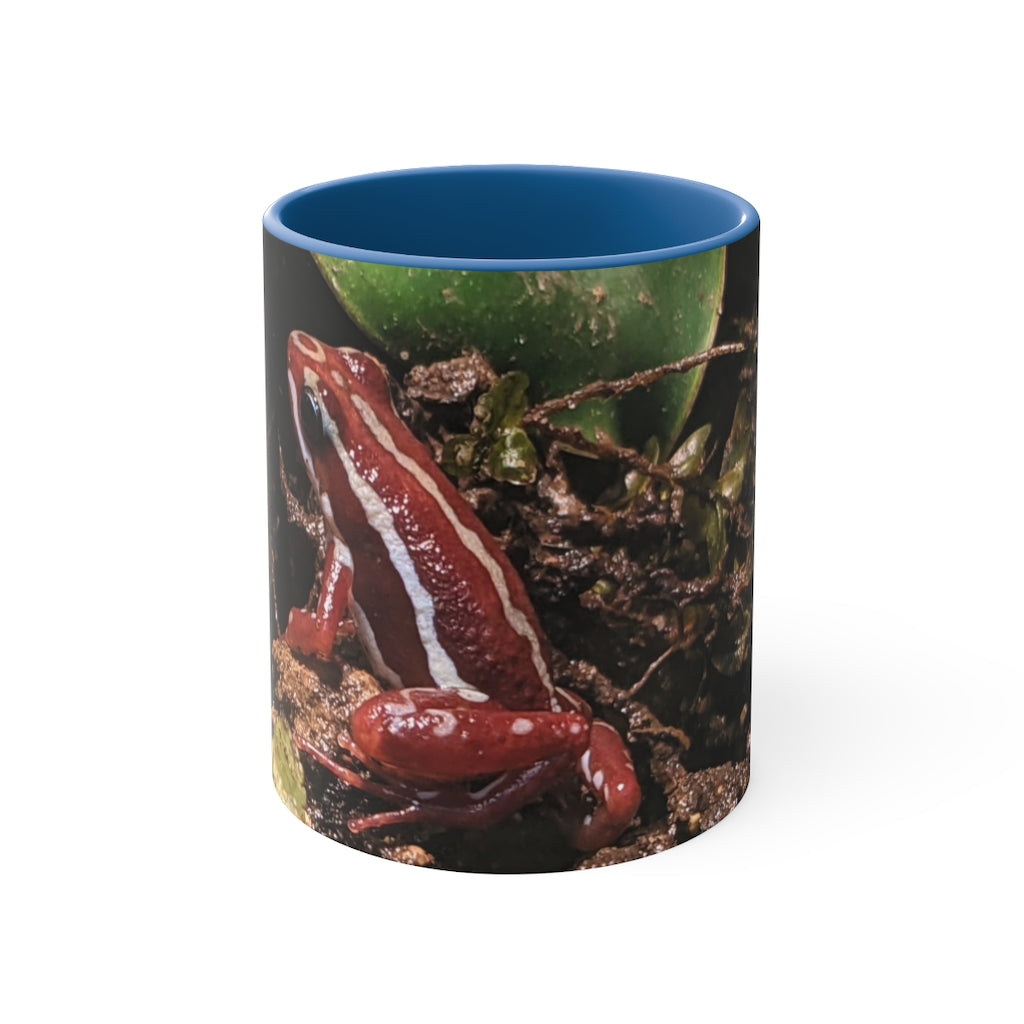 Red Frog Accent Coffee Mug with a white exterior and colorful interior and handle, showcasing a comfortable C-handle design.