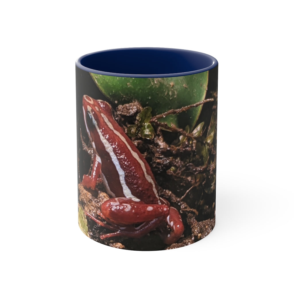 Red Frog Accent Coffee Mug with a white exterior and colorful interior and handle, showcasing a comfortable C-handle design.