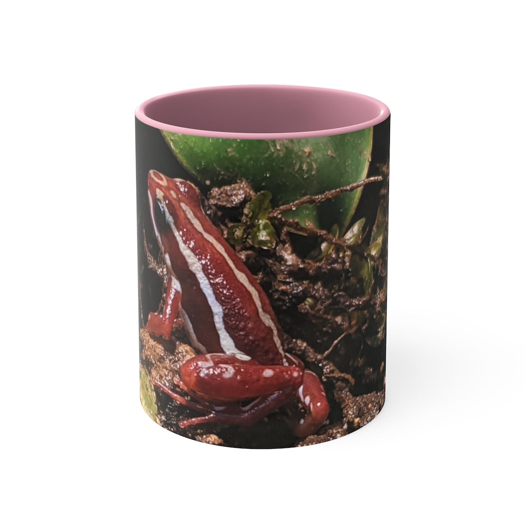 Red Frog Accent Coffee Mug with a white exterior and colorful interior and handle, showcasing a comfortable C-handle design.