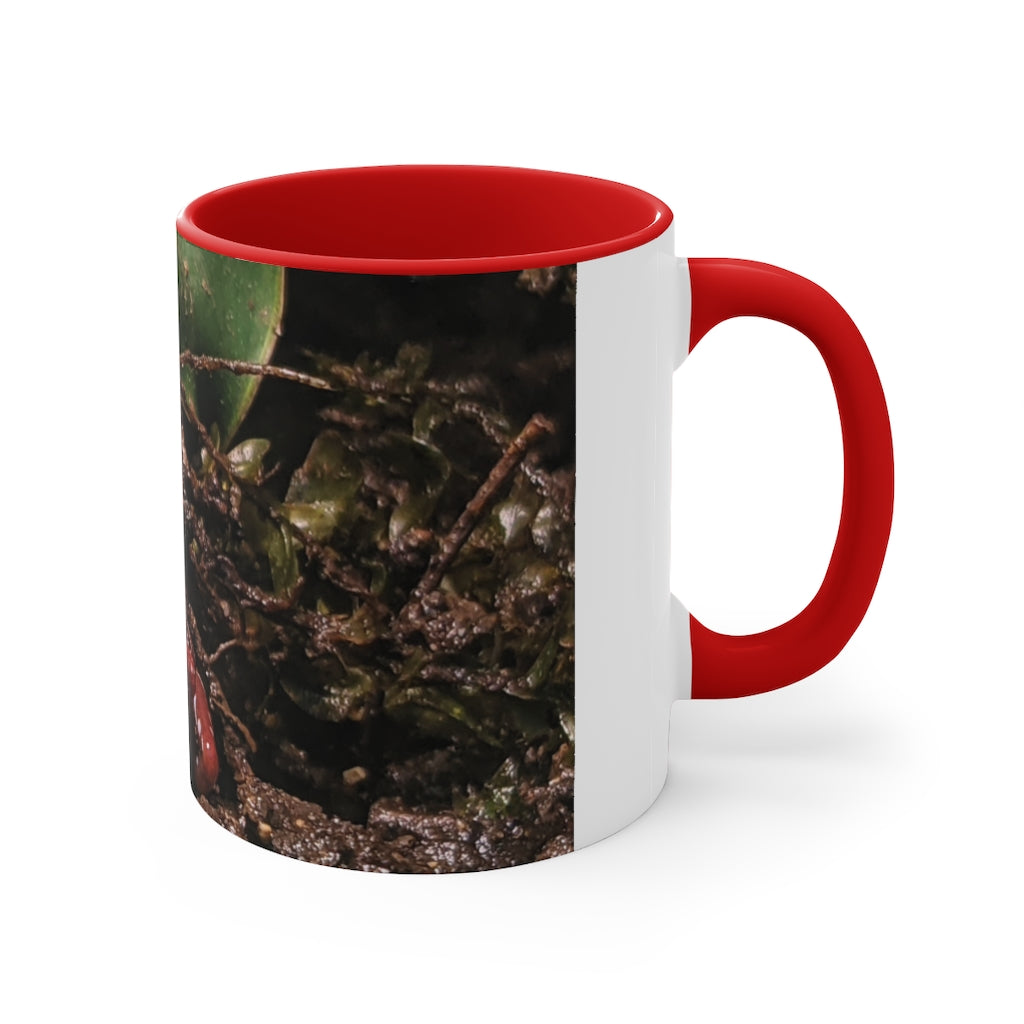 Red Frog Accent Coffee Mug with a white exterior and colorful interior and handle, showcasing a comfortable C-handle design.