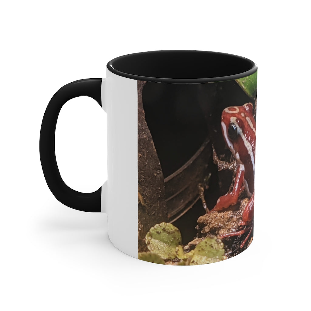 Red Frog Accent Coffee Mug with a white exterior and colorful interior and handle, showcasing a comfortable C-handle design.