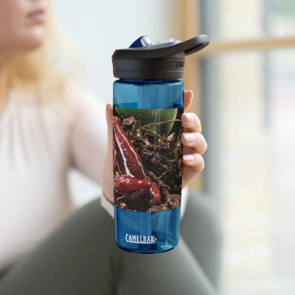 Red Frog CamelBak Eddy® Water Bottle in 20oz and 25oz sizes, showcasing its durable Tritan™ material and spill-proof design.