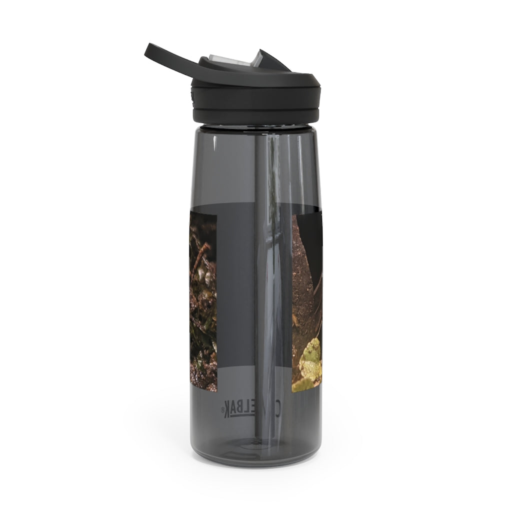 Red Frog CamelBak Eddy® Water Bottle in 20oz and 25oz sizes, showcasing its durable Tritan™ material and spill-proof design.