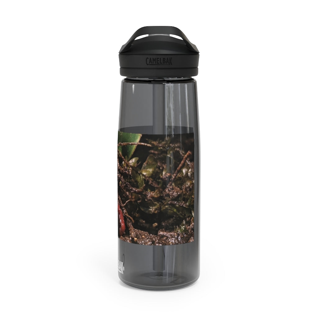 Red Frog CamelBak Eddy® Water Bottle in 20oz and 25oz sizes, showcasing its durable Tritan™ material and spill-proof design.