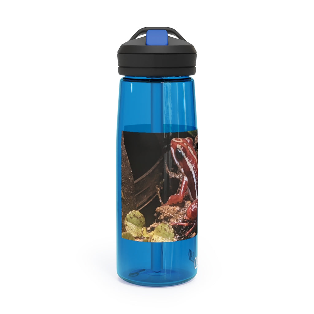 Red Frog CamelBak Eddy® Water Bottle in 20oz and 25oz sizes, showcasing its durable Tritan™ material and spill-proof design.