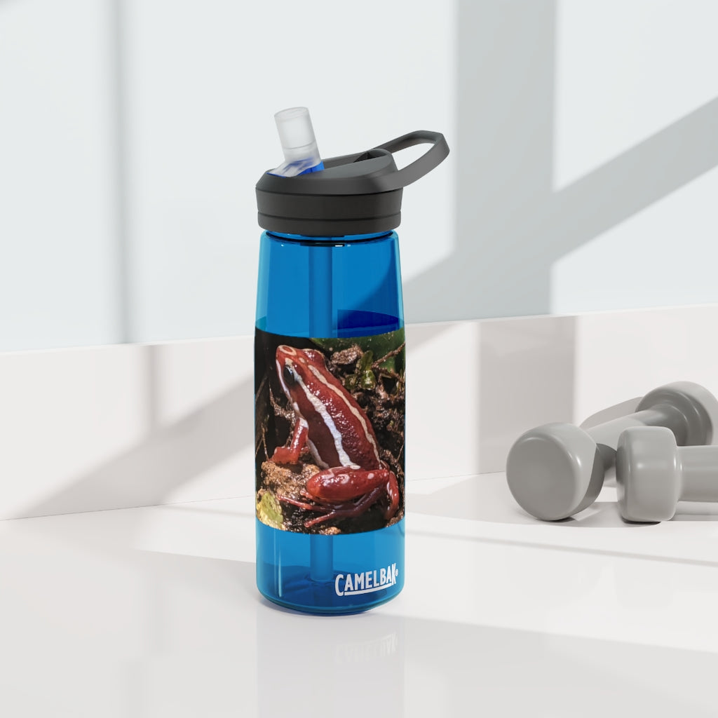 Red Frog CamelBak Eddy® Water Bottle in 20oz and 25oz sizes, showcasing its durable Tritan™ material and spill-proof design.